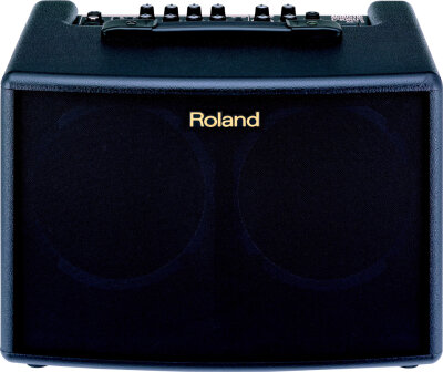 Roland AC-60 Amp