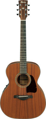 Ibanez AC240E Artwood