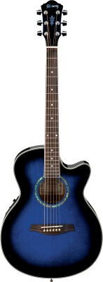 Ibanez AEG10E Acoustic