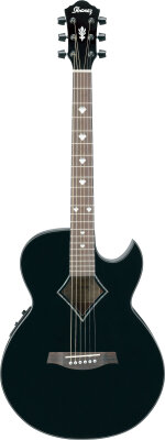 Ibanez AES20E Guitar