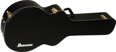 Ibanez AF100C Case