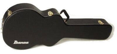 Ibanez AG100C Case