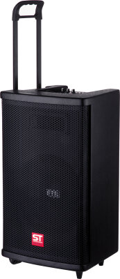 SoundTech AL12R