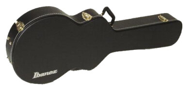 ibanez AM100C Case