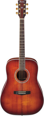 Ibanez AW120 Acoustic