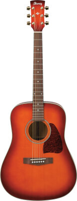 Ibanez AW20 Acoustic