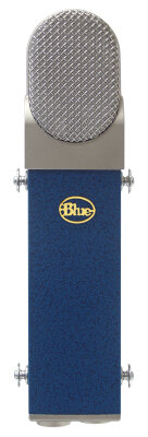BLUE Blueberry Mic