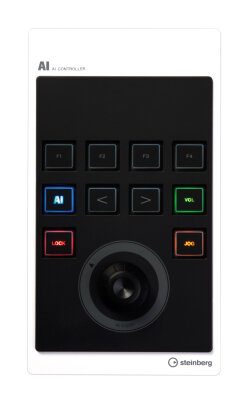 Steinberg CMC-AI Control
