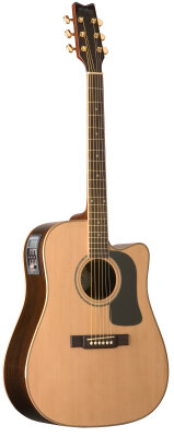 Washburn D10SCEDL