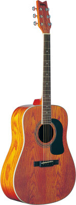 Washburn D11 Dreadnought