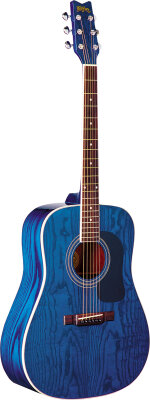 Washburn D11 Package