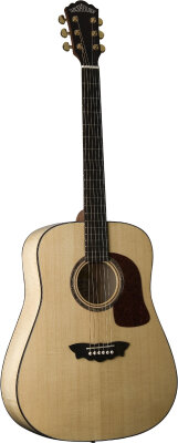 Washburn D48SW Acoustic