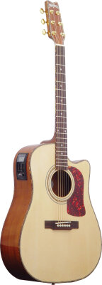 Washburn DK20CET Acoustic