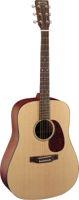 Martin DM Acoustic Guitar