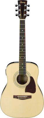 Ibanez DT100E Daytripper
