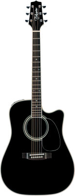 Takamine EF314SC Acoustic
