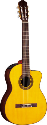Takamine EG128SC Cutaway