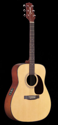 Takamine EG240 Acoustic