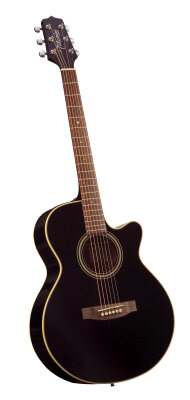 Takamine EG260C Cutaway