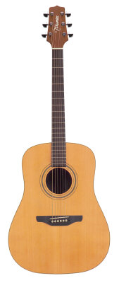 Takamine EG530SC Acoustic