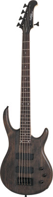 Epiphone Embassy Bass