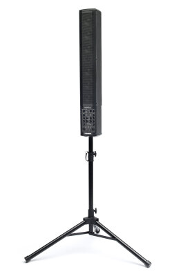 Fishman SoloAmp