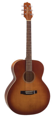 Takamine G5403S Guitar