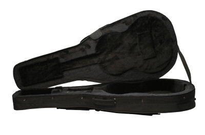 Gator GLCLASSIC Case