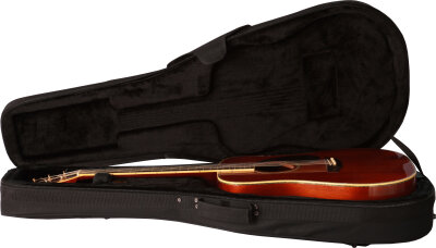 Gator GLDREAD Case