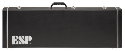 George Lynch GL200MT Case