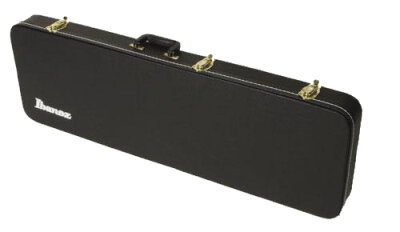 Ibanez DT100C Case