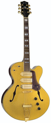 Jay Turser SM Jazz Guitar