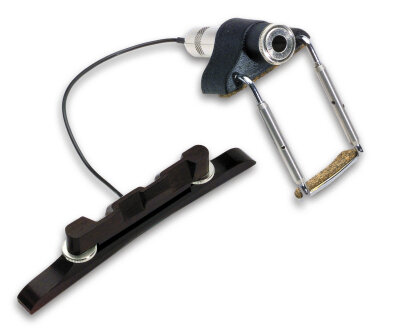 Fishman M200 Pickup