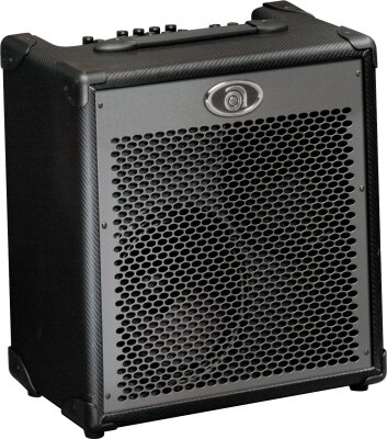 Ampeg PBC-228 Combo