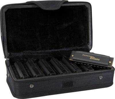 Hohner Piedmont Blues Set
