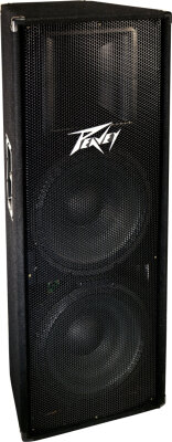Peavey PV215 PA Speaker