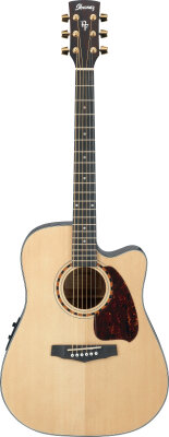 Ibanez PF5ECE Cutaway