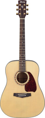 Ibanez PF5 Dreadnought