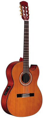 Alvarez RC20SC Classical