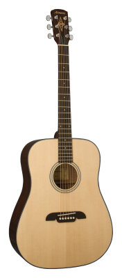 Alvarez RD-010 Acoustic