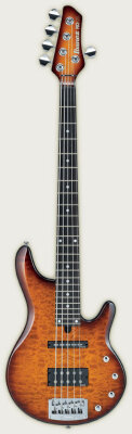 Ibanez RD505