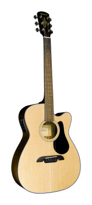 Alvarez RF4102C Acoustic
