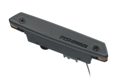 Fishman Rare Earth Pickup