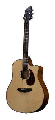 Breedlove D25SM Acoustic