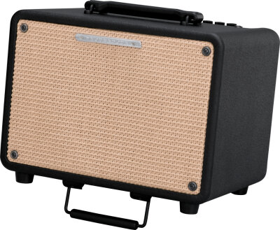 Ibanez T30 Troubadour Amp