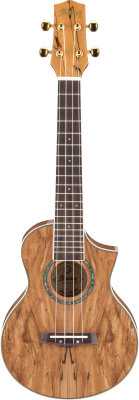 Ibanez UEW20SM Ukulele