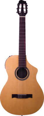Line 6 Variax 300 Nylon