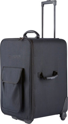 Yamaha YBSP500 Case