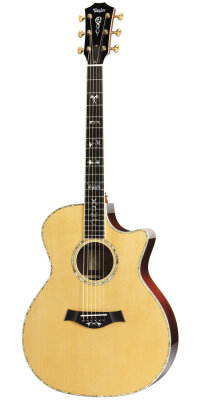 Taylor DMSM Dave Matthews