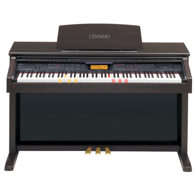 Casio AK100R